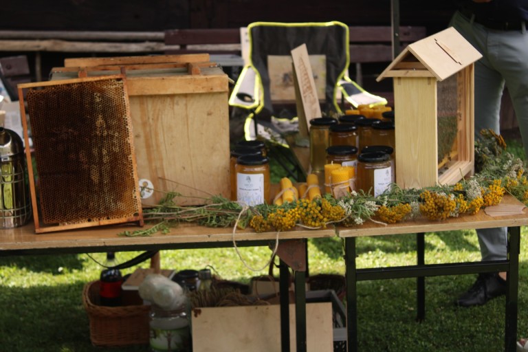 Rekordowy Wielki Dzień Pszczół w konińskim muzeum