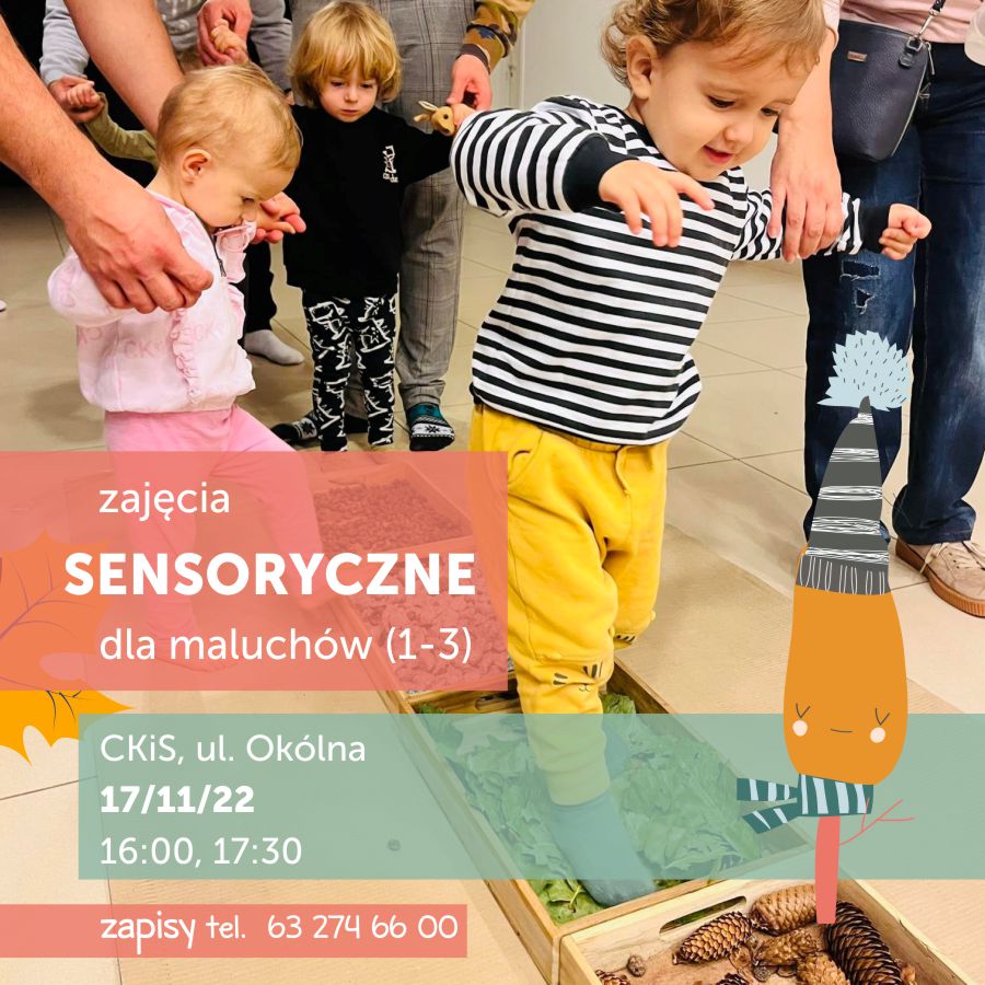 Zajęcia sensoryczne dla maluchów - rozwój i zabawa