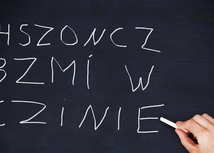 Poniedziałkowy quiz. Sprawdź swoją wiedzę z języka polskiego